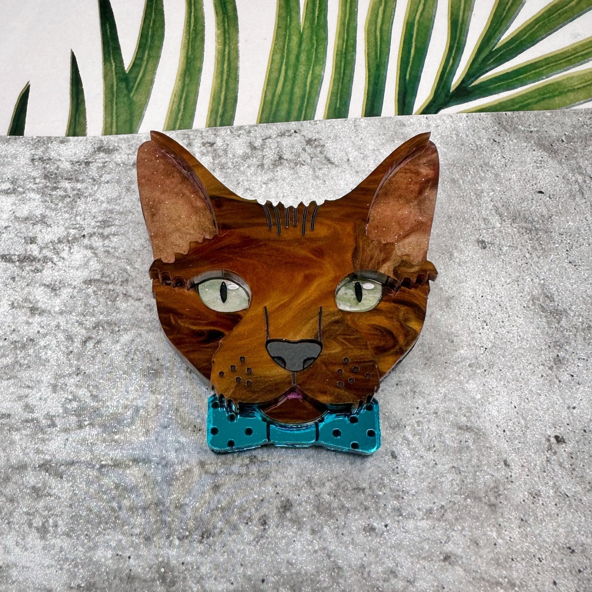 Aiya the Devon Rex Cat - Foxx & Ginger