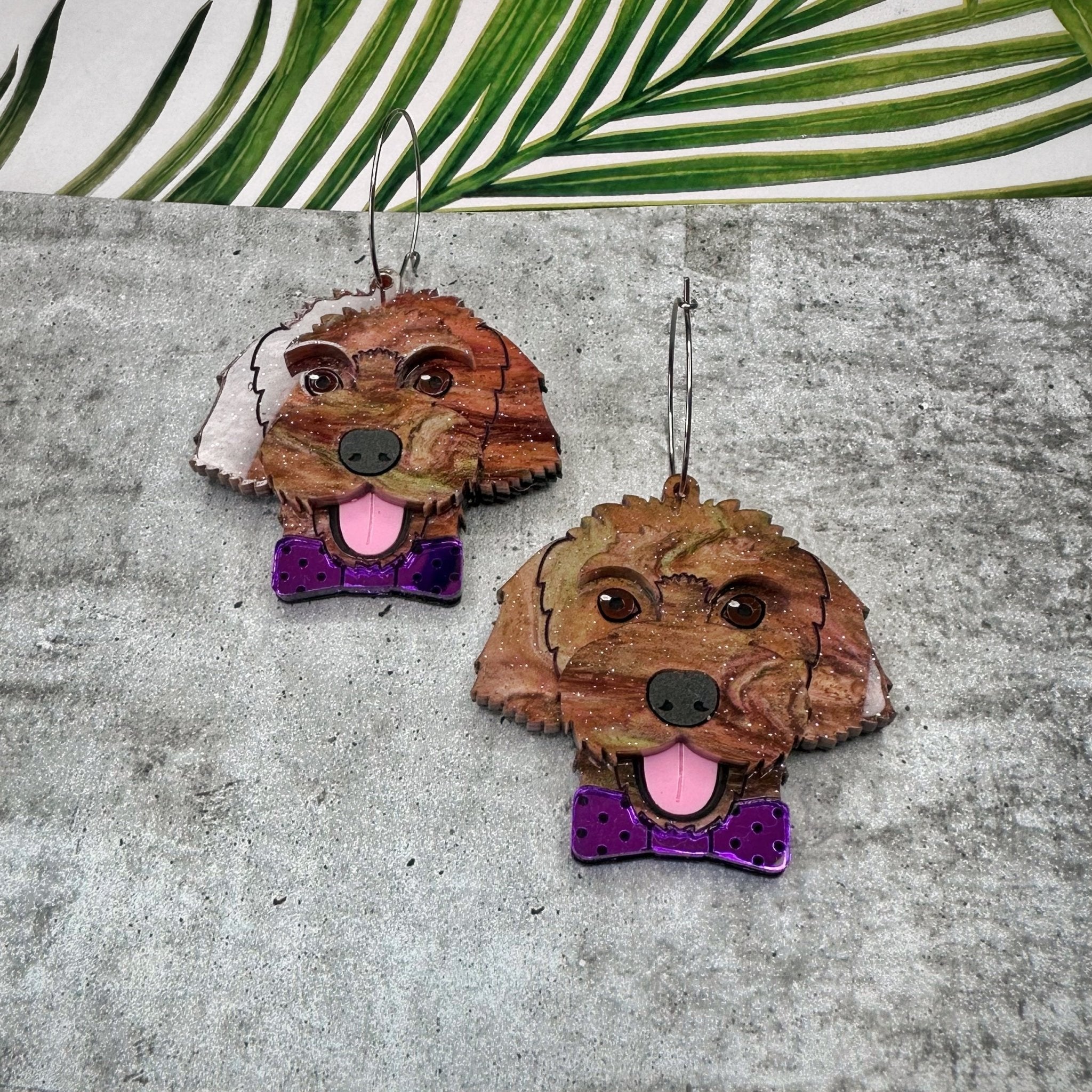 Connie the Cavoodle - Foxx & Ginger